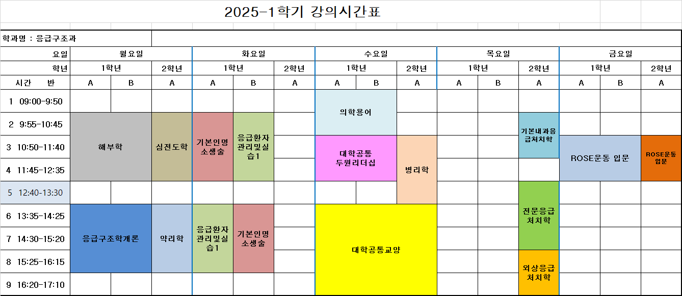 [25-1학기 응급구조과 강의시간표] 대표이미지